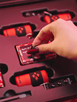 کالکشن هارلی کوئین شیگلم - تصویر 7